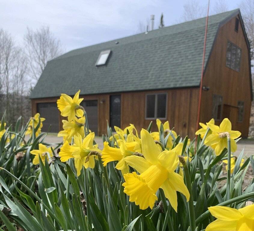 Jay Peak 3 miles - ski home via Big Jay! in Jay Peak