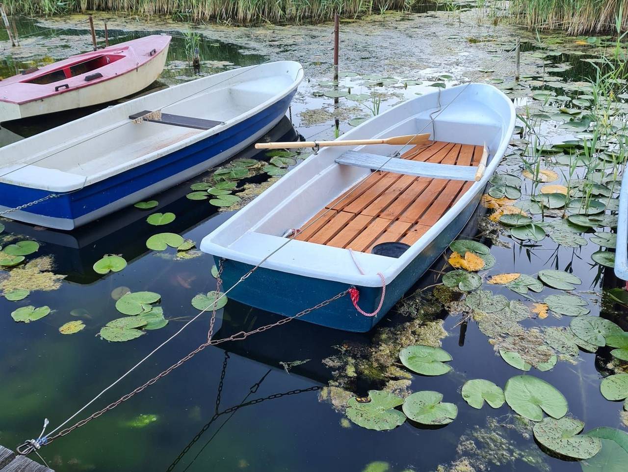 Ganze Ferienwohnung, Ferienwohnung zum Schwandter See in Rosenow, Müritz