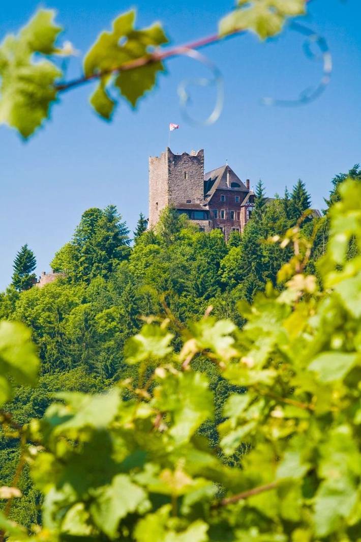 Hotel für 2 Personen, mit Whirlpool und Terrasse sowie Garten und Ausblick in Alf - 4