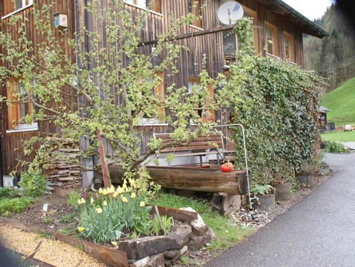 Ferienwohnung für 3 Personen, mit Terrasse und Garten in Schoppernau - 2