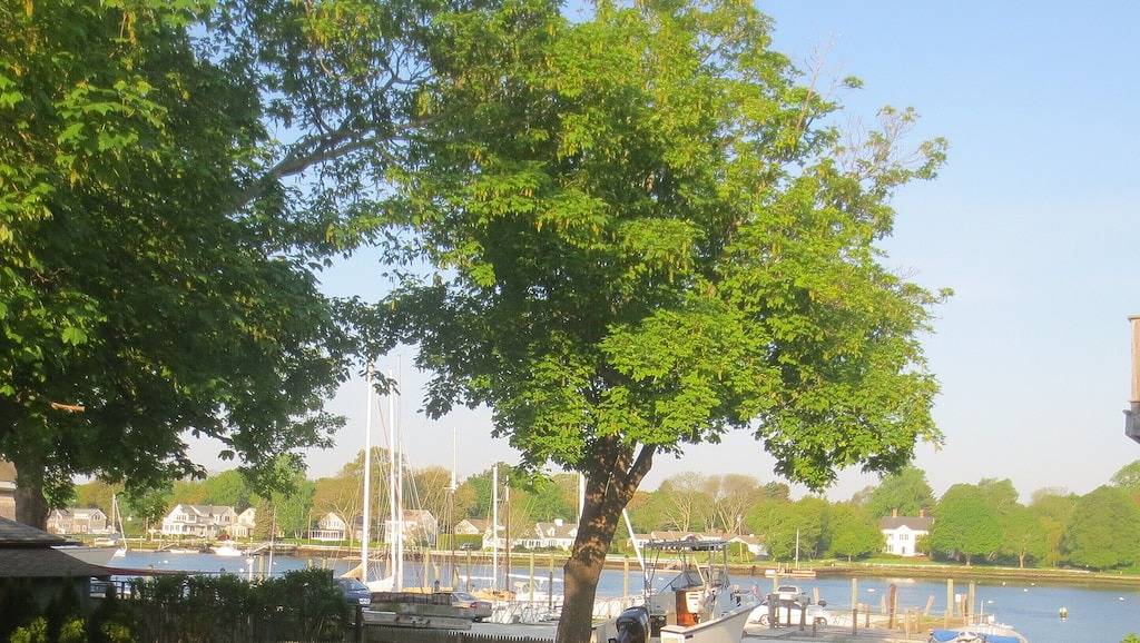 Ganze Wohnung, Das Hotel liegt an Warrens Historic Waterfront Adjacent in Bristol County