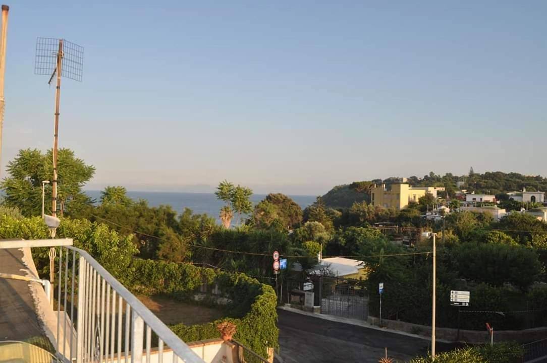 Dalla Maestra Lucia in Procida, Napoli e dintorni