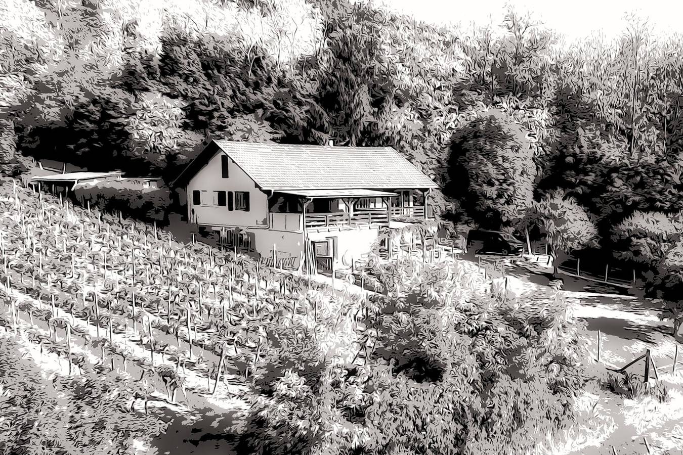 Gîte du Weinbaum in Alsazia in Bergheim (Alsazia), Parco naturale regionale dei Ballons des Vosges