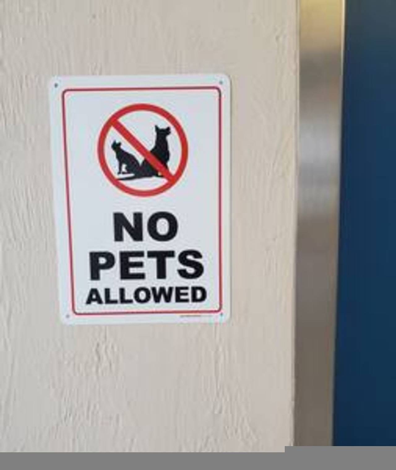 Entire apartment, 613 · 3 Beds Luxury Beachfront Studio Ideal 4 Long Stays in Daytona Beach, Florida