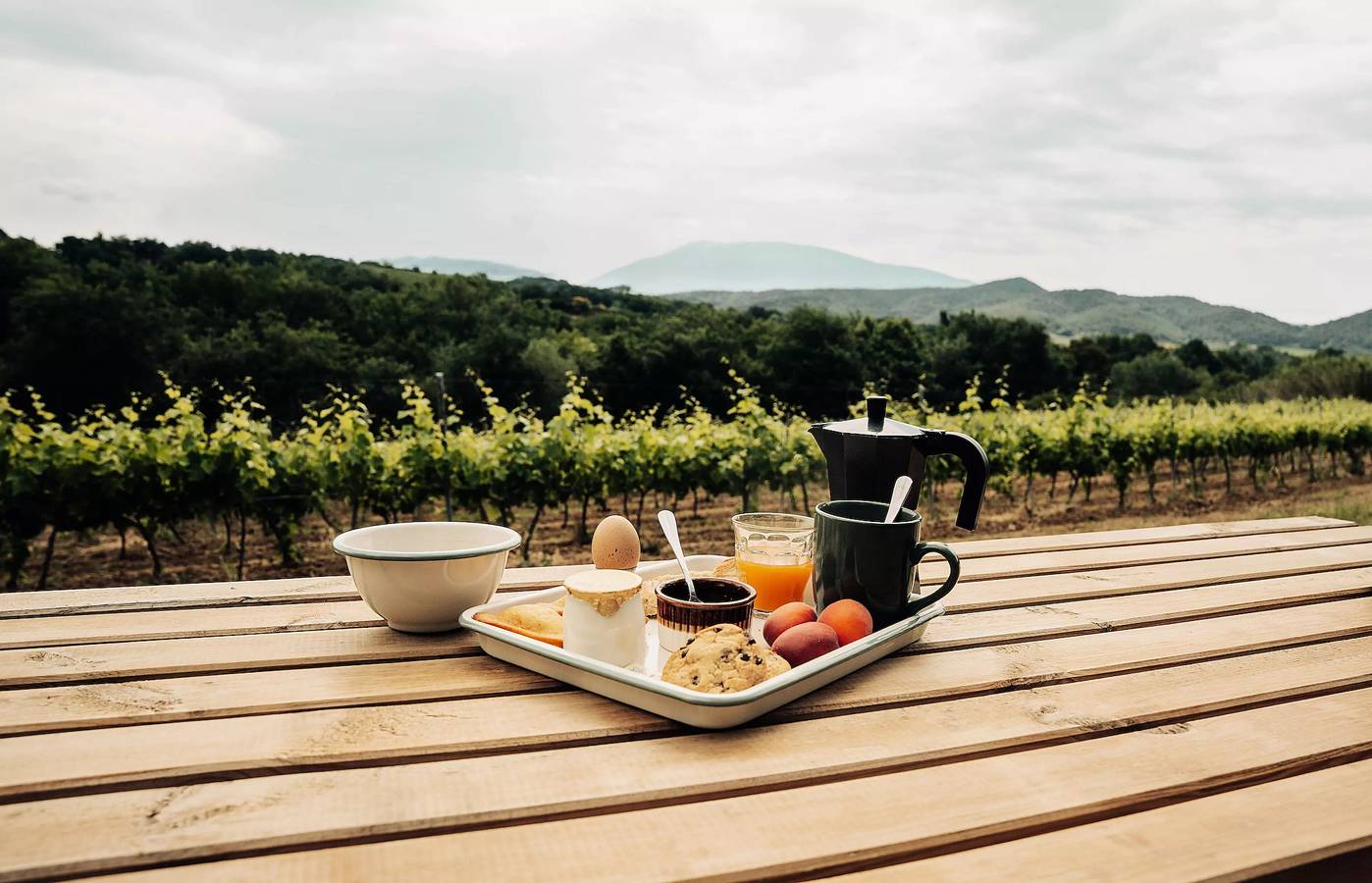 Appartement entier, Tiny House au coeur des vignes face au Mont Ventoux in Saint-Romain-en-Viennois, Parc naturel régional du Mont-Ventoux