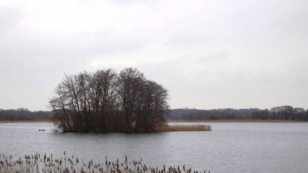 Ferienhaus für 2 Personen (35 m²) in Krakow am See in Krakow am See, Lagos de Mecklenburg