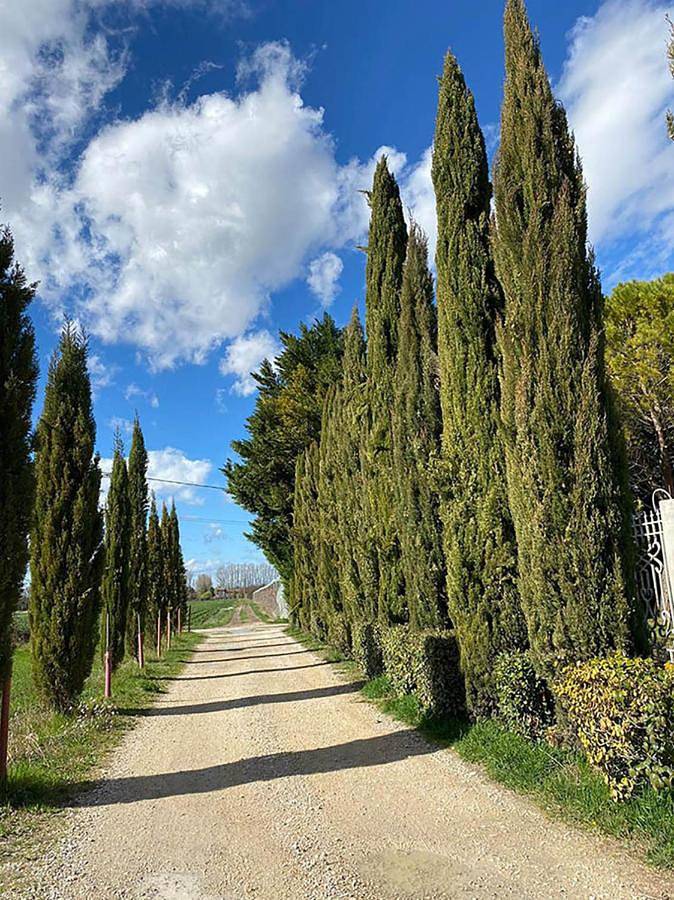 Two-Bedroom Apartment in Pernes-les-Fontaines, Vaucluse