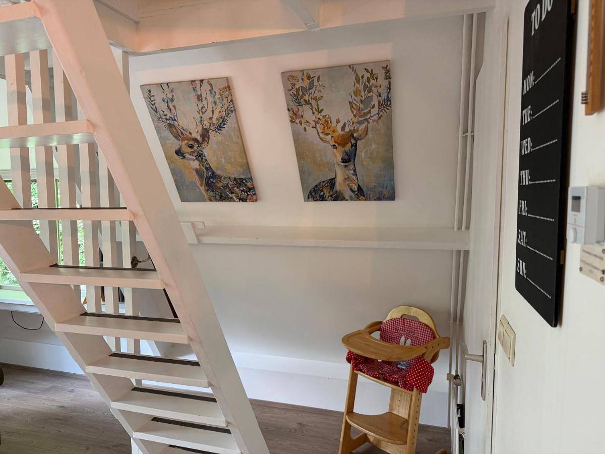 Ardennenvakantiebungalow in Grandhan, Durbuy