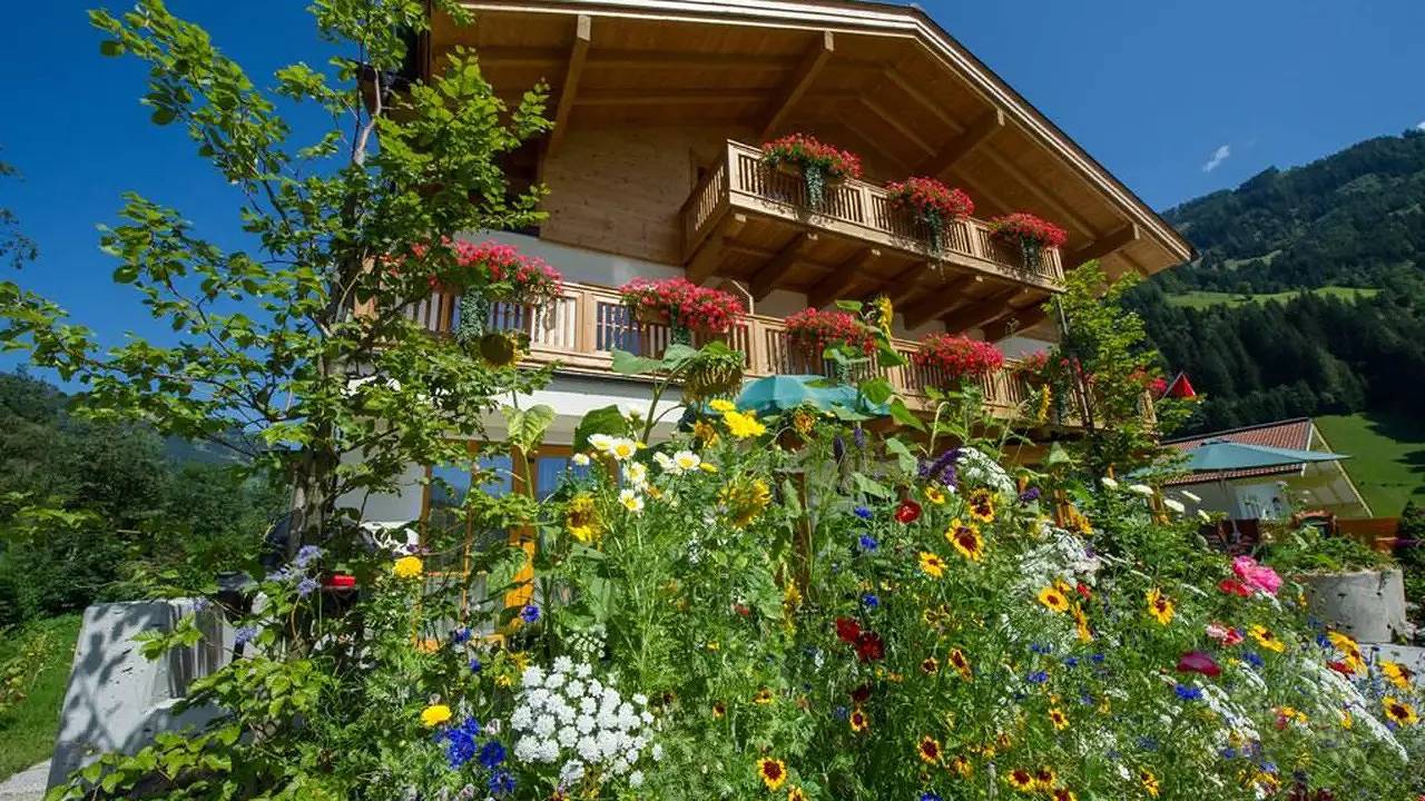 Ganze Ferienwohnung, Ferienwohnung für 6 Personen (50 m²) in Grossarl in Großarl, Ski Amadé
