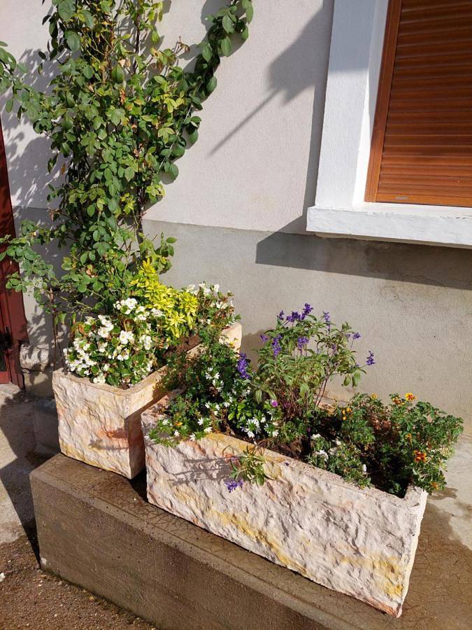 Les Copains d'Abord in Beaucroissant, Isère
