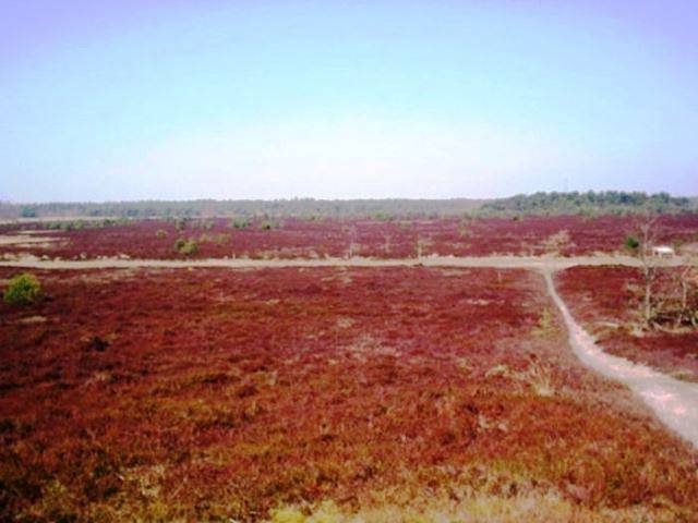 Ferienhaus für 2 Personen, mit Balkon in Cuxhaven - 4