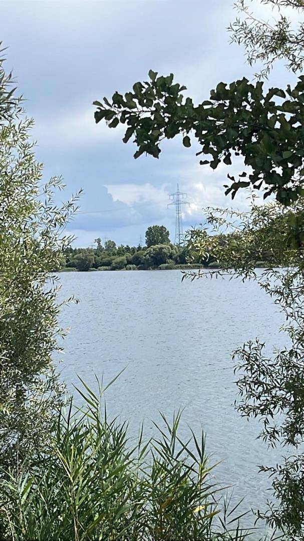 Ferienwohnung für 3 Personen, mit Terrasse, kinderfreundlich in Rheinebene - 3