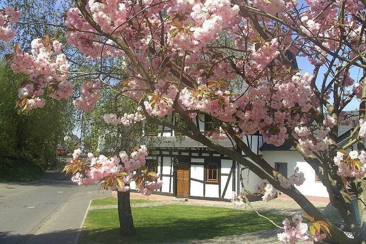 Ferienhaus für 7 Personen, mit Garten - 1