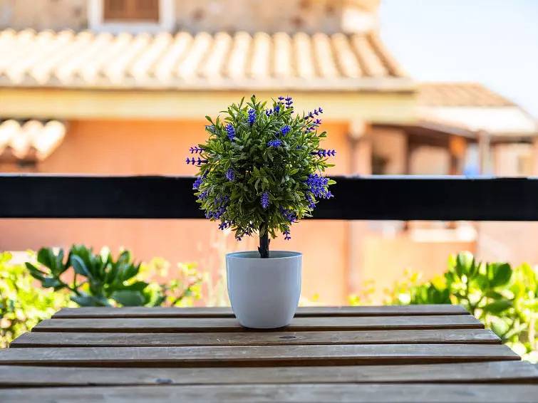 Appartamento intero, 2 Camere 4 Persone in Crabonaxa/Villasimius, Villasimius