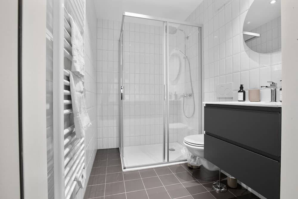 Entire apartment, Atypical studio in Fribourg's old town in Fribourg, Canton of Fribourg