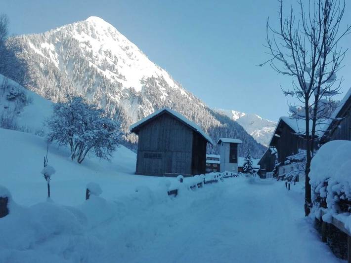 Ganze Ferienwohnung, Manser Bernadette u. Martin - Haus Manser - Ferienwohnung für 2 Personen in Bregenzerwald (Vorarlberg), Schoppernau