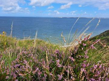 Ferieudlejning til 7 Personer i Humlum, Struer, Billede 4