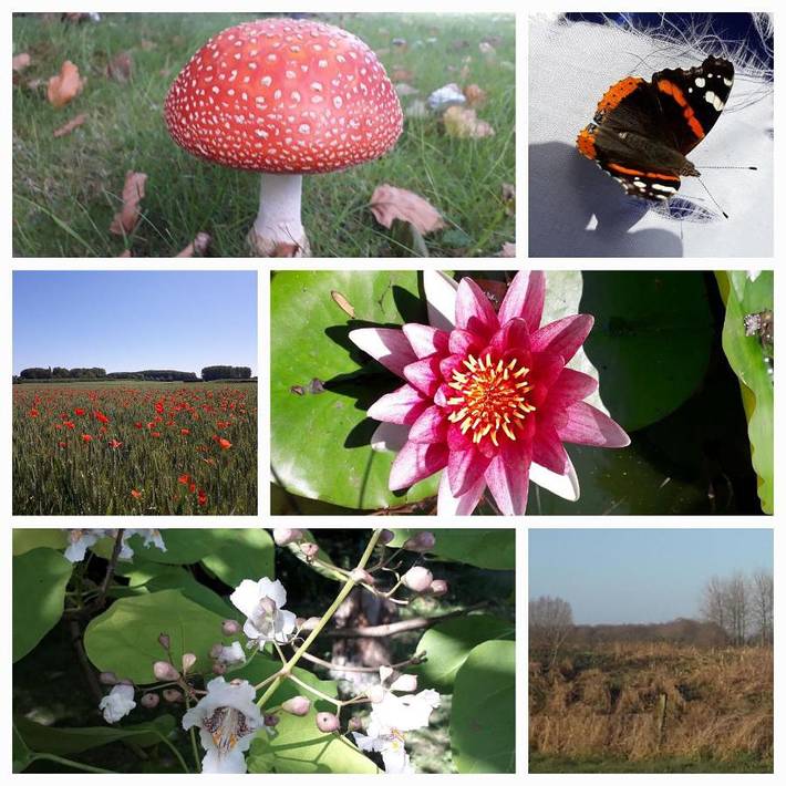 Gîte pour 4 personnes, avec jardin à Lecelles - 2