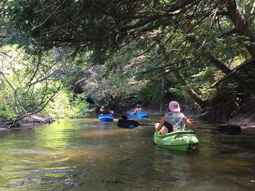 Log Cabin for 15 Guests in Lake Michigan, Michigan, Picture 3