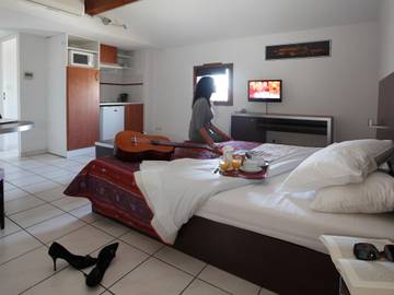 Location De Vacances pour 2 Personnes dans Carcassonne, Canal du Midi, Photo 4