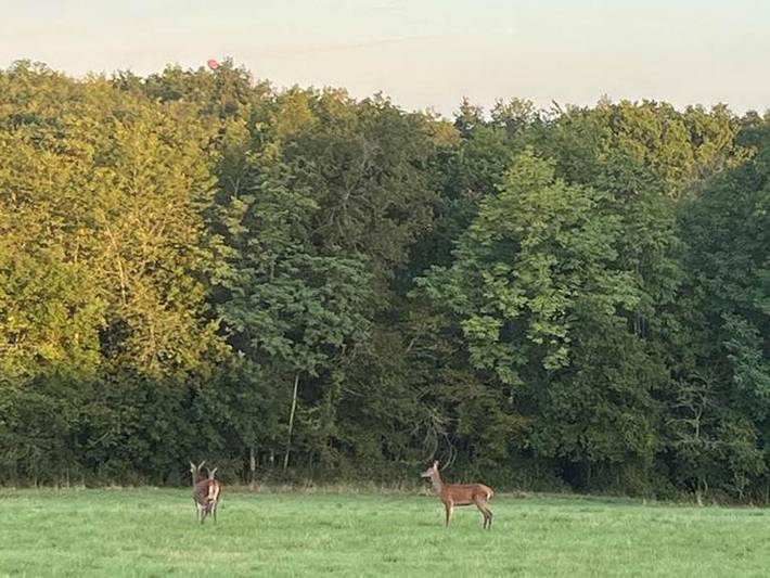 Location de vacances pour 4 personnes à Chisseaux - 4