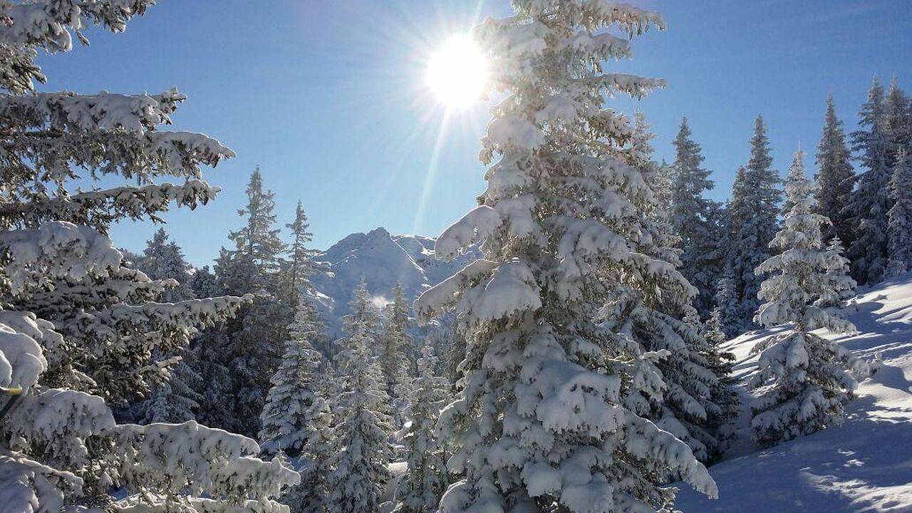 Apartamento vacacional entero, Ferienwohnung für 4 Personen (60 m²) in St. Gallenkirch in Sankt Gallenkirch (Pueblo), Sankt Gallenkirch