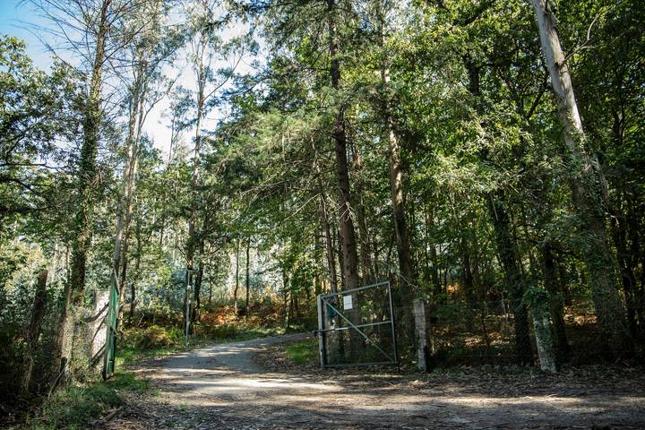 Casa de vacaciones para 6 personas, con Jardín en Galicia - 3