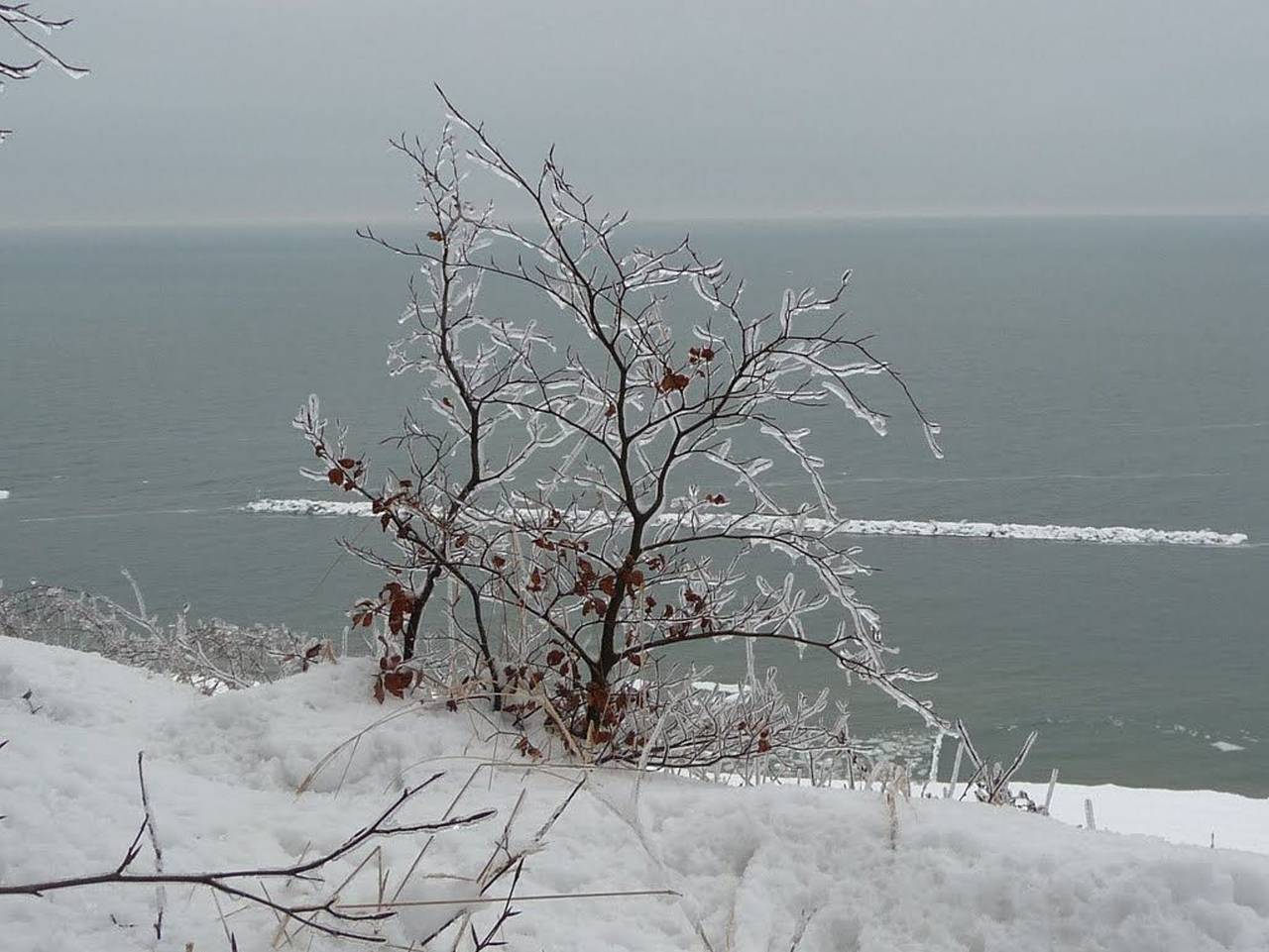 Ganze Ferienwohnung, Ferienwohnung Lindenstraße  18  **** - Whg.1 in Koserow, Bernsteinbäder