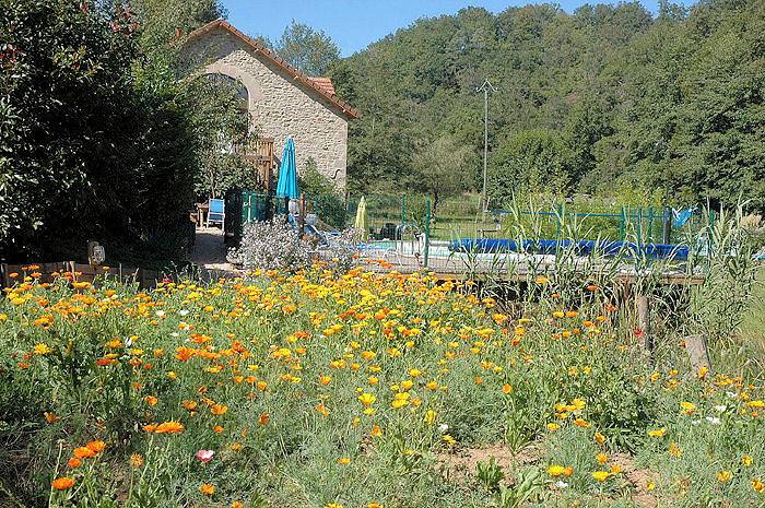 Grand gite Moulin du Buffan in Saint-Perdoux, Lot