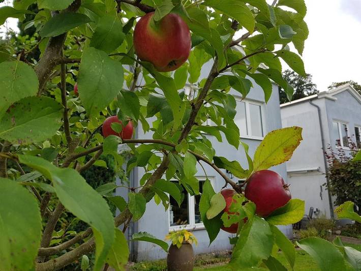 Ferienwohnung für 2 Personen, mit Terrasse und Garten, kinderfreundlich in Mölln - 4