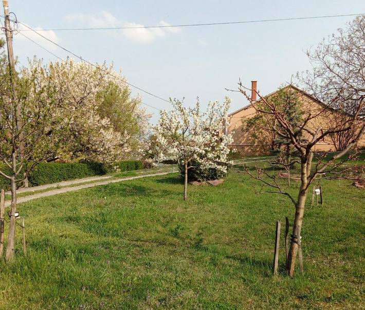 Ferienwohnung für 8 Personen, mit Garten und Ausblick sowie Seeblick in Balatonalmadi - 3