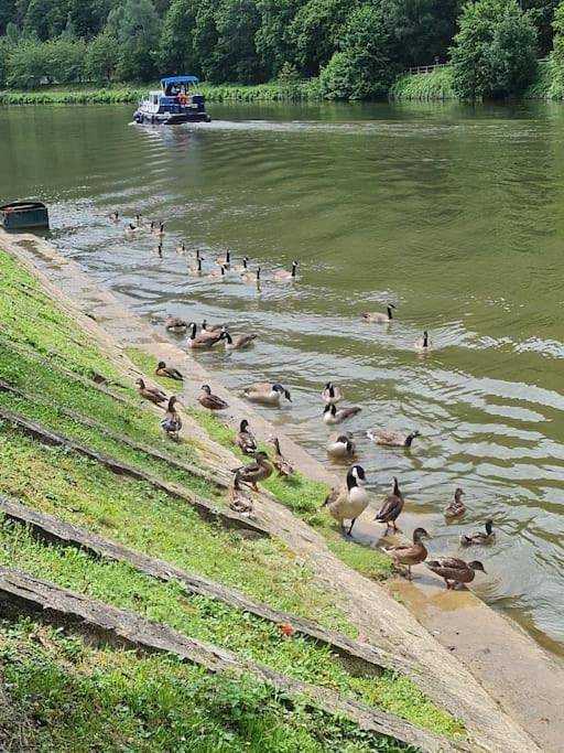 Location de vacances pour 5 personnes à Monthermé - 2
