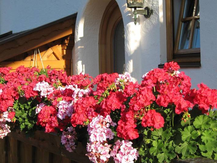 Ferienwohnung für 3 Personen, mit Balkon und Garten im Mittenwald - 2