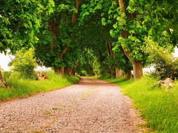 Ferieudlejning til 6 Personer i Rudkøbing, Langeland, Billede 4