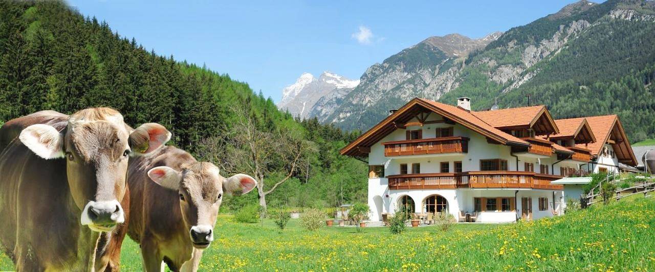 Appartement Wolfenhof in Gossensaß, Brenner
