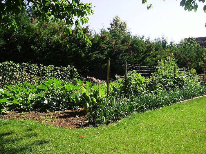 Chambre d’hôte pour 4 personnes, avec jardin et piscine dans Côte-d'Or - 2