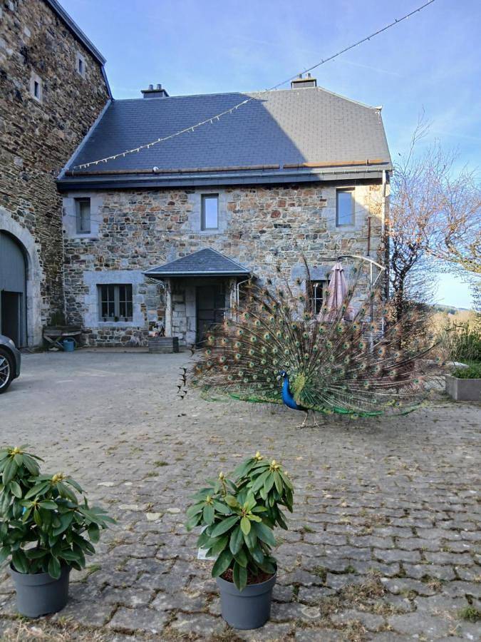 Maison de vacances pour 6 personnes, avec jardin ainsi que vue et vue sur le lac, animaux acceptés à Stoumont