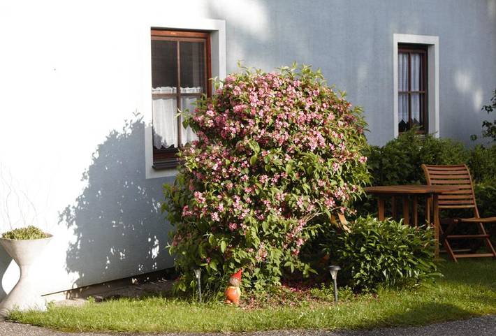 Appartamento intero, Appartamento vacanze per 1 persona con terrazza in Bärnkopf, Bezirk Zwettl