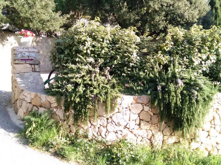 Chambre d’hôte pour 2 personnes, avec terrasse ainsi que jardin et vue, animaux acceptés dans Parc naturel régional Corbières-Fenouillèdes - 3