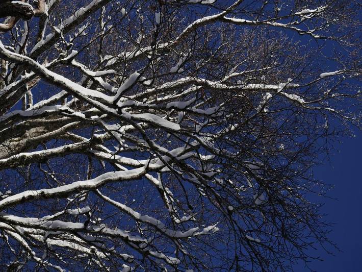 Gîte pour 4 personnes, avec terrasse et vue, animaux acceptés à Rieti - 4