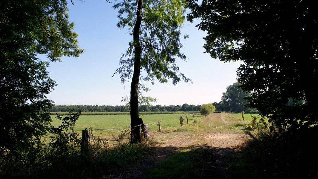 Ganze Ferienwohnung, Ferienwohnung für 4 Personen (95 m²) in Westerstede in Westerstede, Ammerland