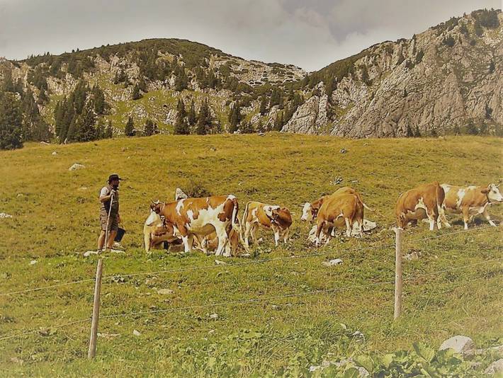 Hôtel pour 2 personnes, avec sauna ainsi que jardin et terrasse à Jachenau - 3