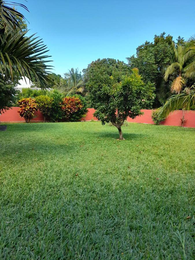 Gîte pour 5 personnes, avec vue et jardin ainsi que piscine et terrasse dans Vincendo - 2