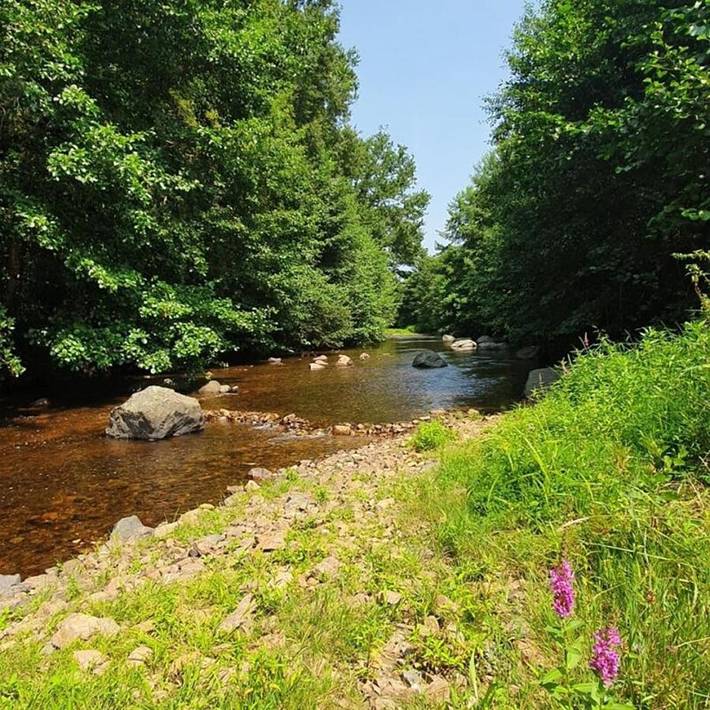 Location de vacances pour 2 personnes, avec jardin et vue, animaux acceptés à Saint-Pardoux-la-Rivière - 3