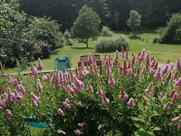 Gîte pour 6 personnes, avec balcon et jardin à Chissey-en-Morvan