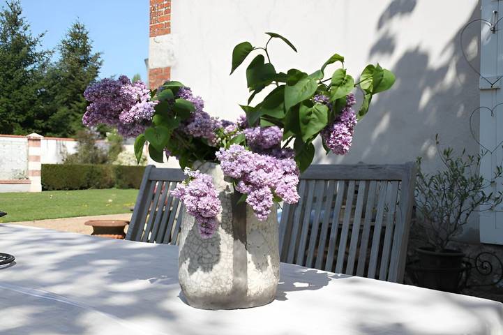 Chambre d’hôte pour 5 personnes, avec jardin dans le Loir-et-Cher - 4