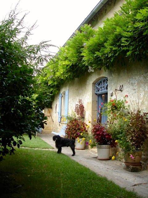 Location de vacances pour 2 personnes, avec vue ainsi que jardin et piscine à Pujols (Gironde) - 2