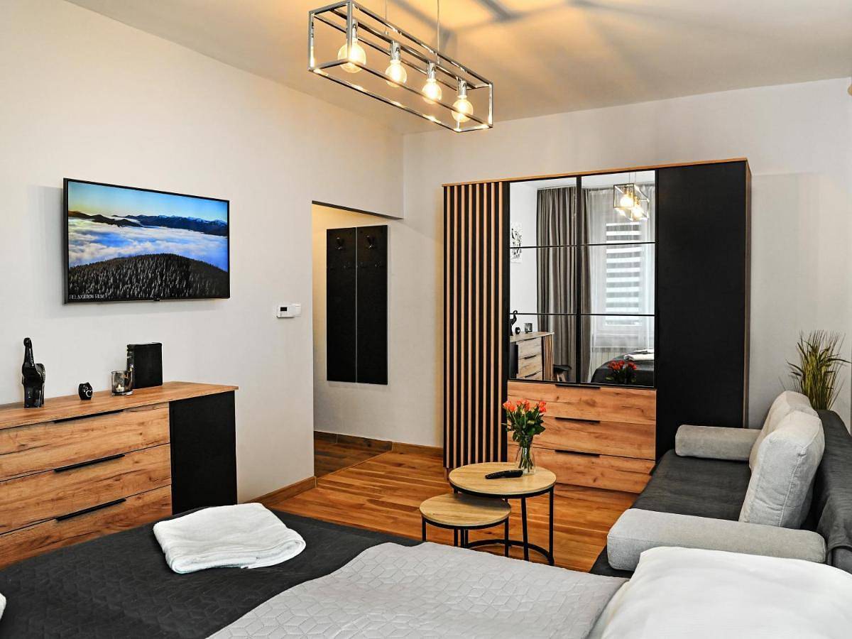 Cały apartament, One-Bedroom Apartment in Sanok, Karpaty (Polska)