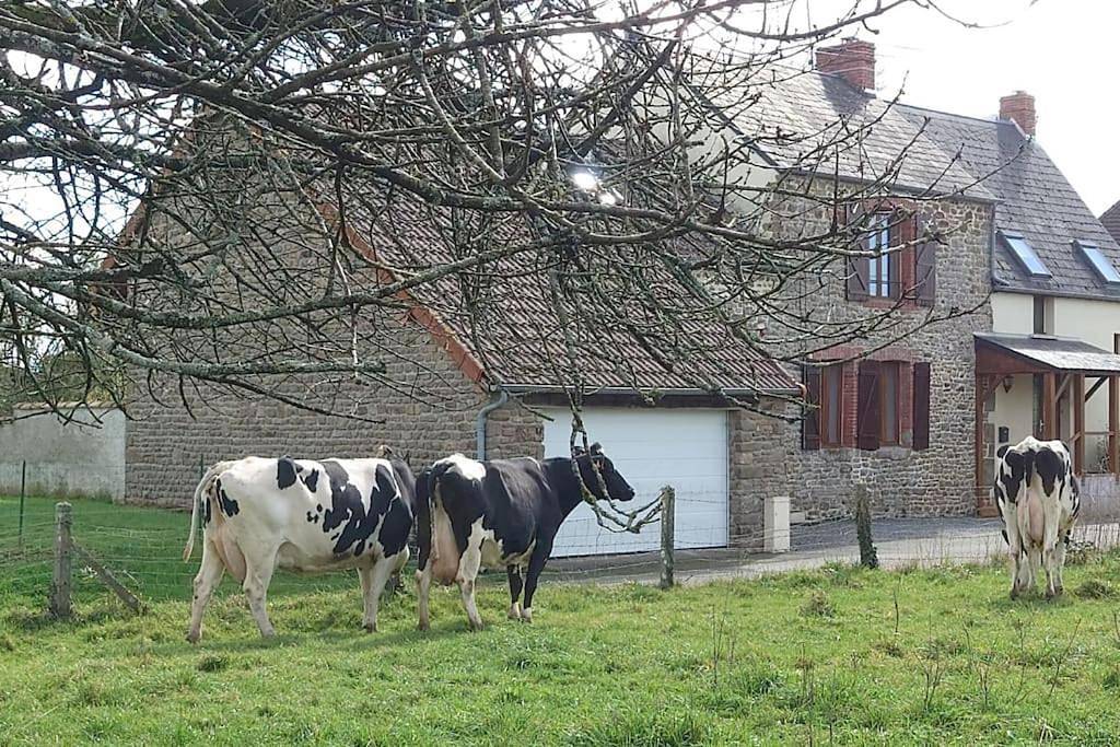 Two-Bedroom House in Lolif, Côte de la Déroute