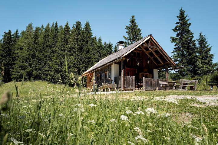 Ferienwohnung für 4 Personen, mit Garten in Hochsteiermark - 3